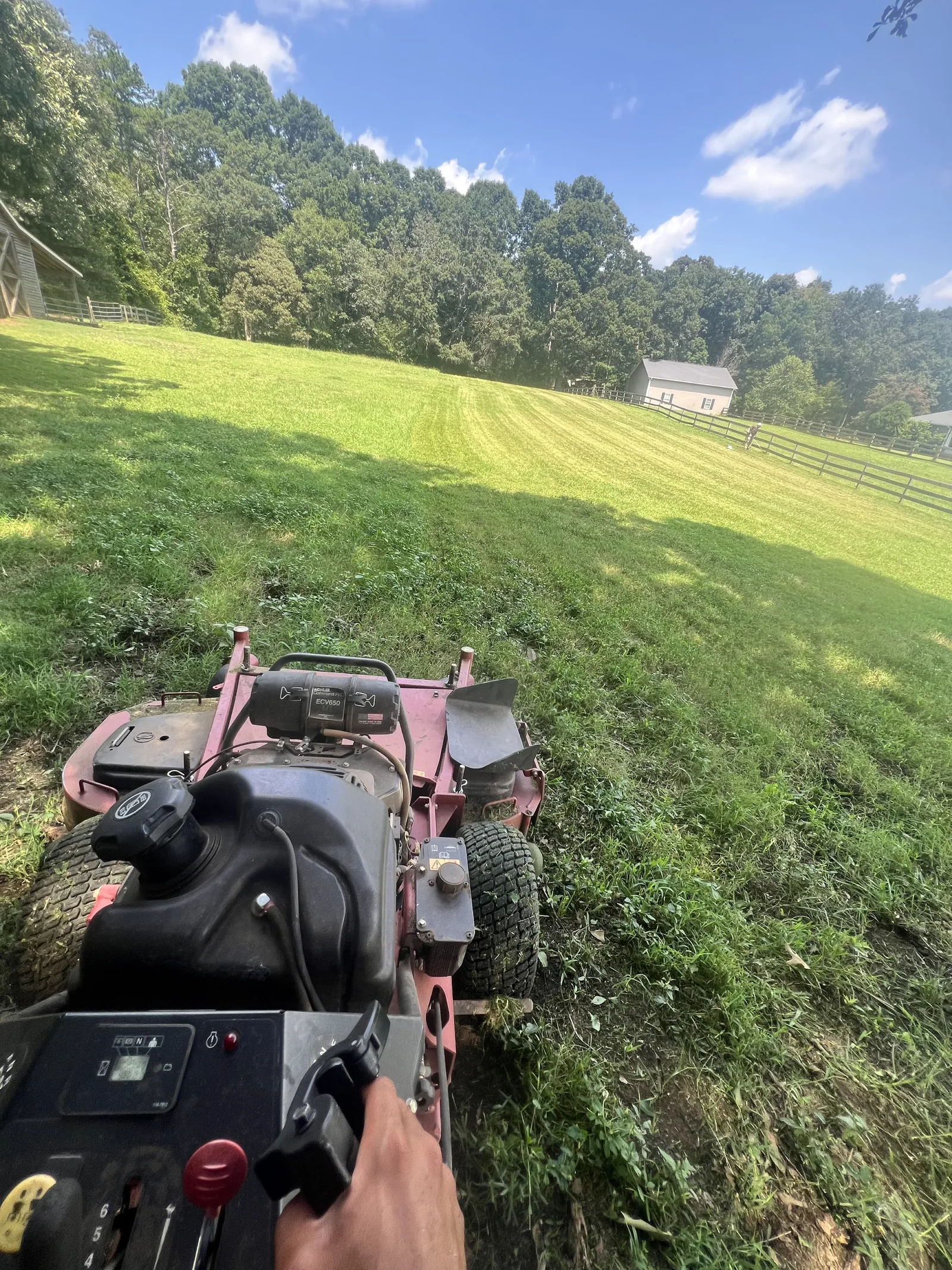 Large lawn maintained by Avila Pineneedles LLC