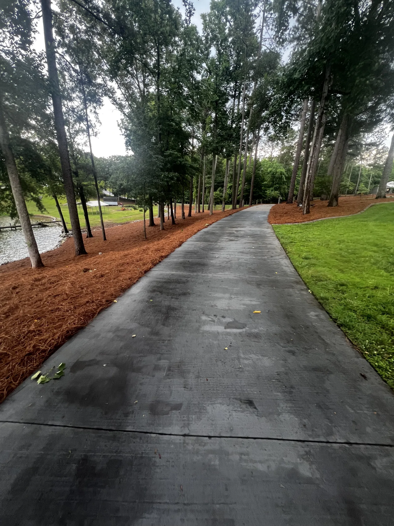 Fresh pine straw installed along a large driveway