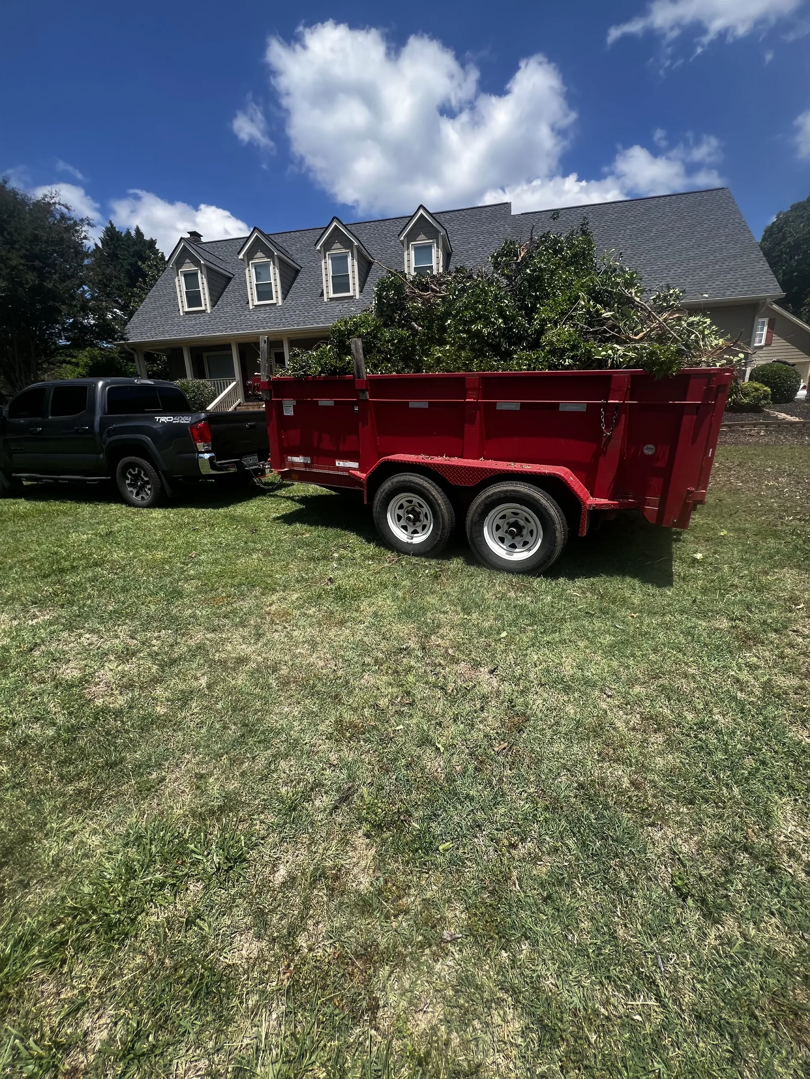 Dump trailer loaded with tree debris